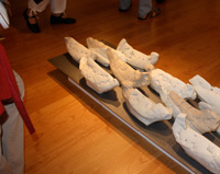 Photo vernissage