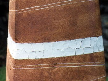 Photo travail à l'atelier
